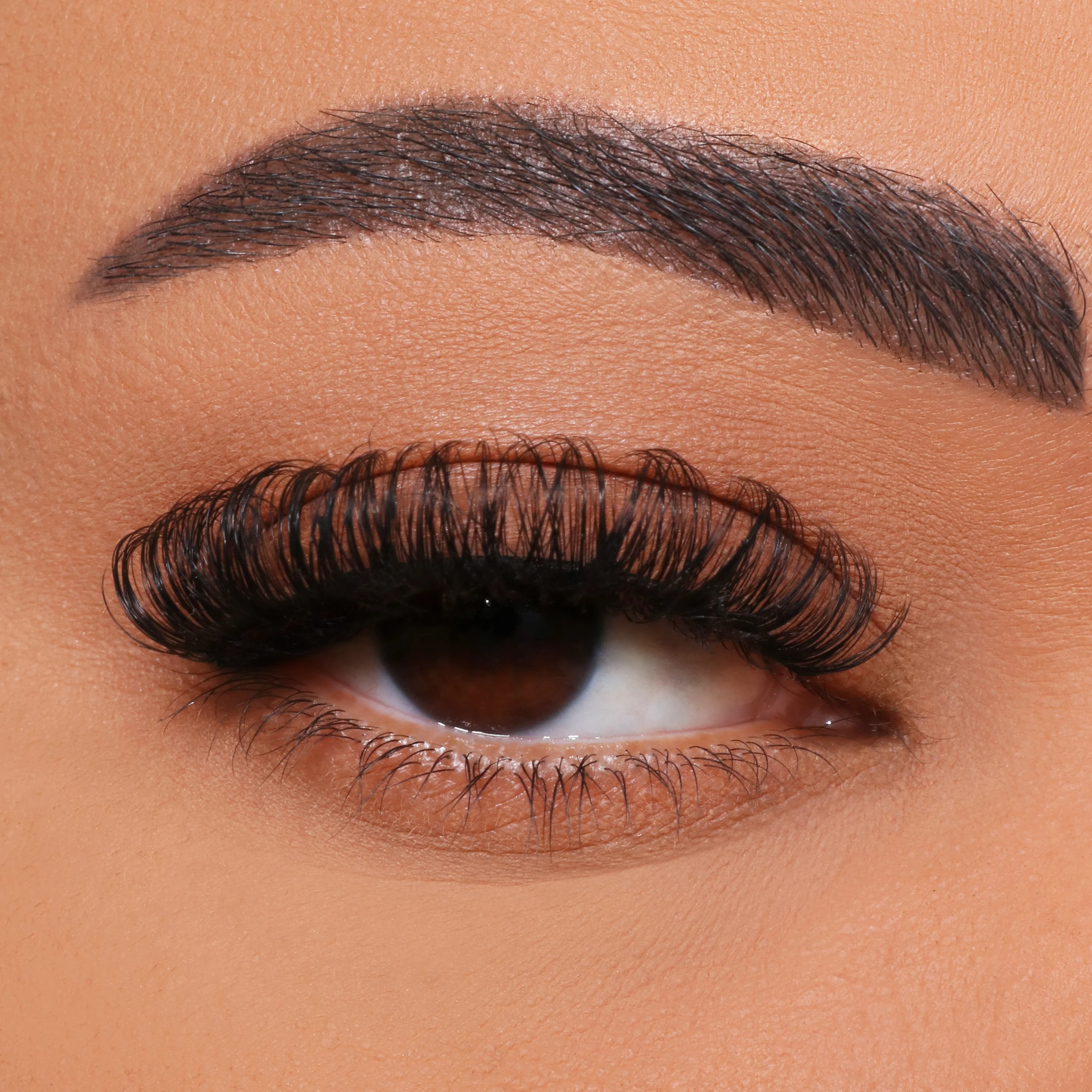 Hogyan lehet barkácsolni a többvirágú szempilla oltását?